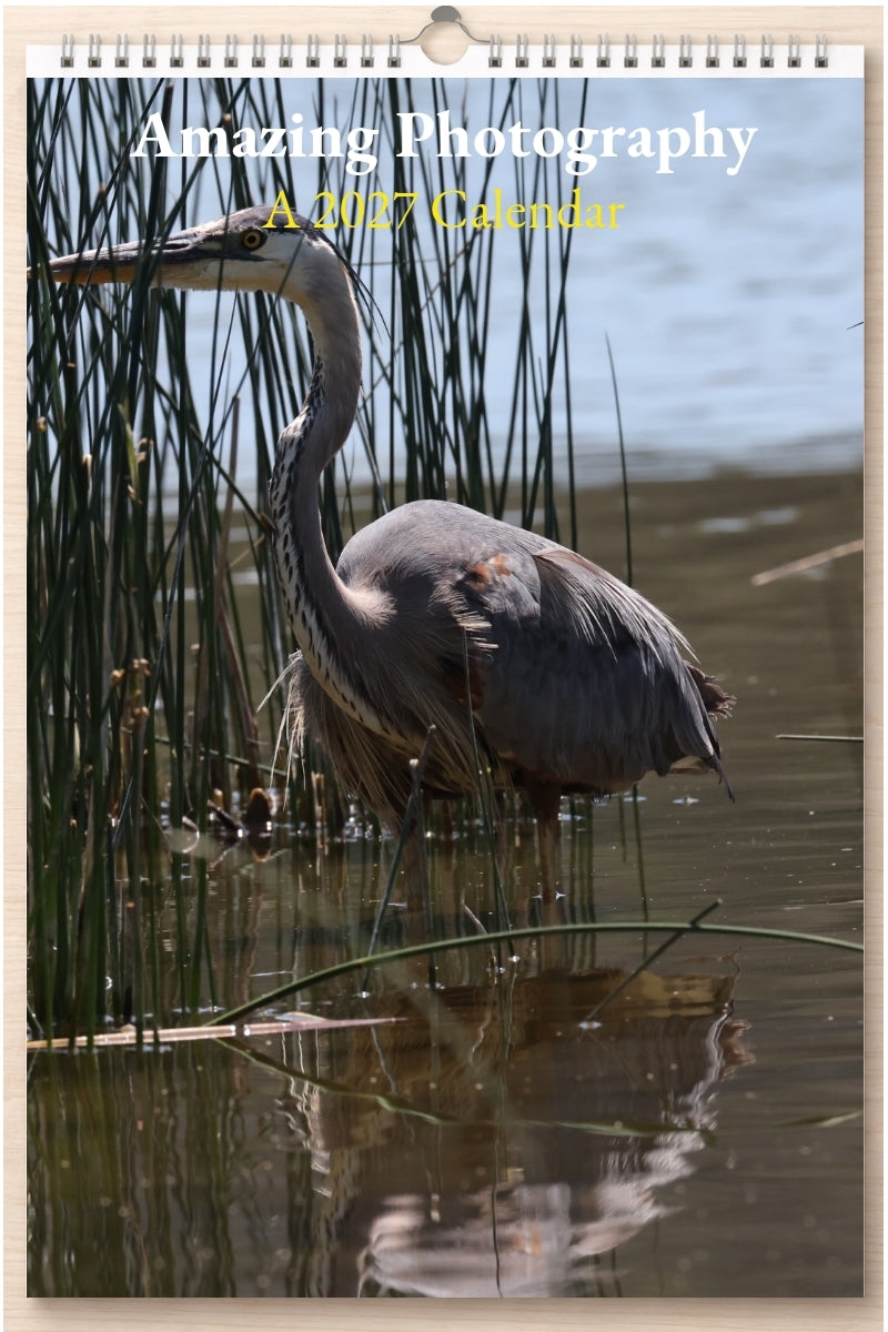 Amazing Photography: A 2027 Calendar