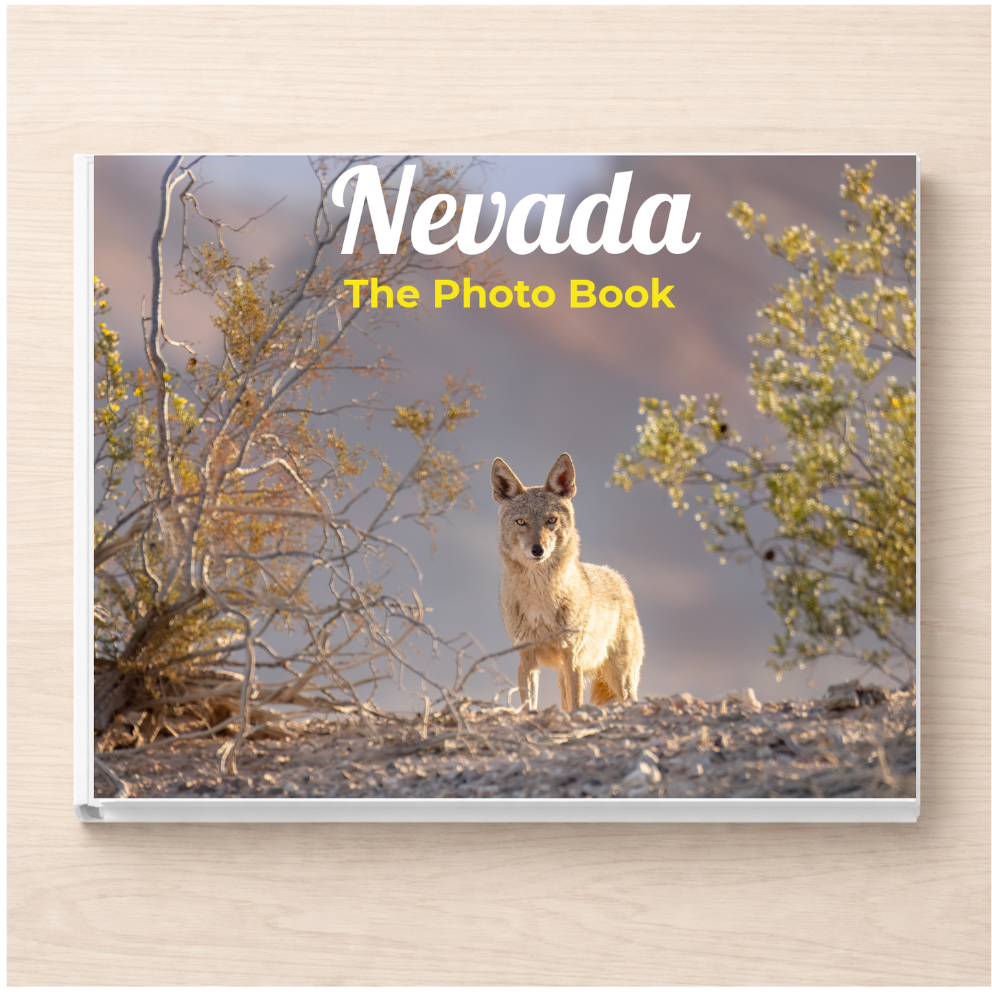 Nevada: The Photo Book