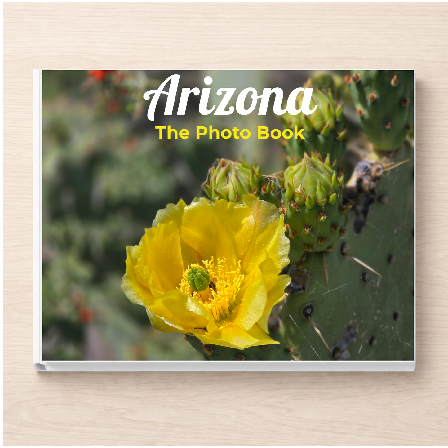 Arizona: The Photo Book