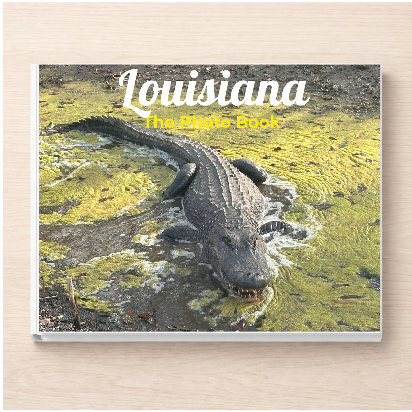 Louisiana: The Photo Book