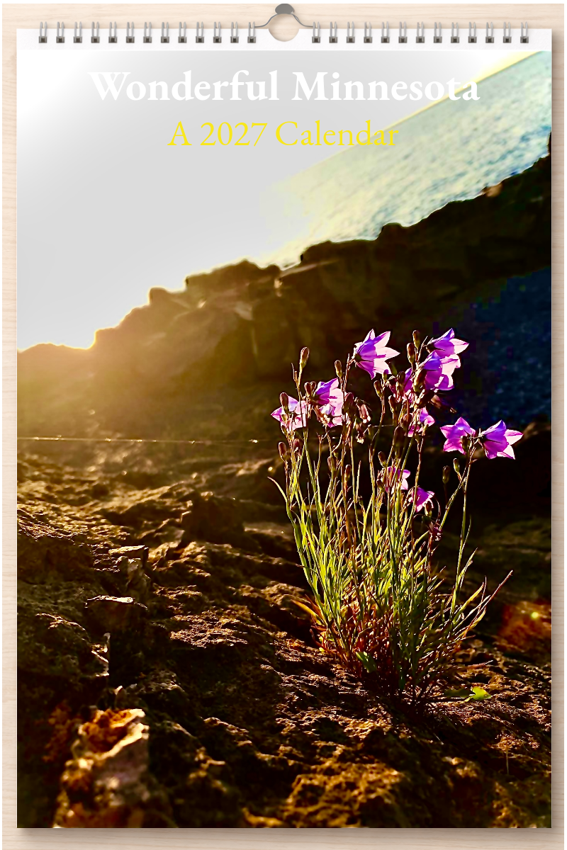 Wonderful Minnesota: A 2027 Calendar