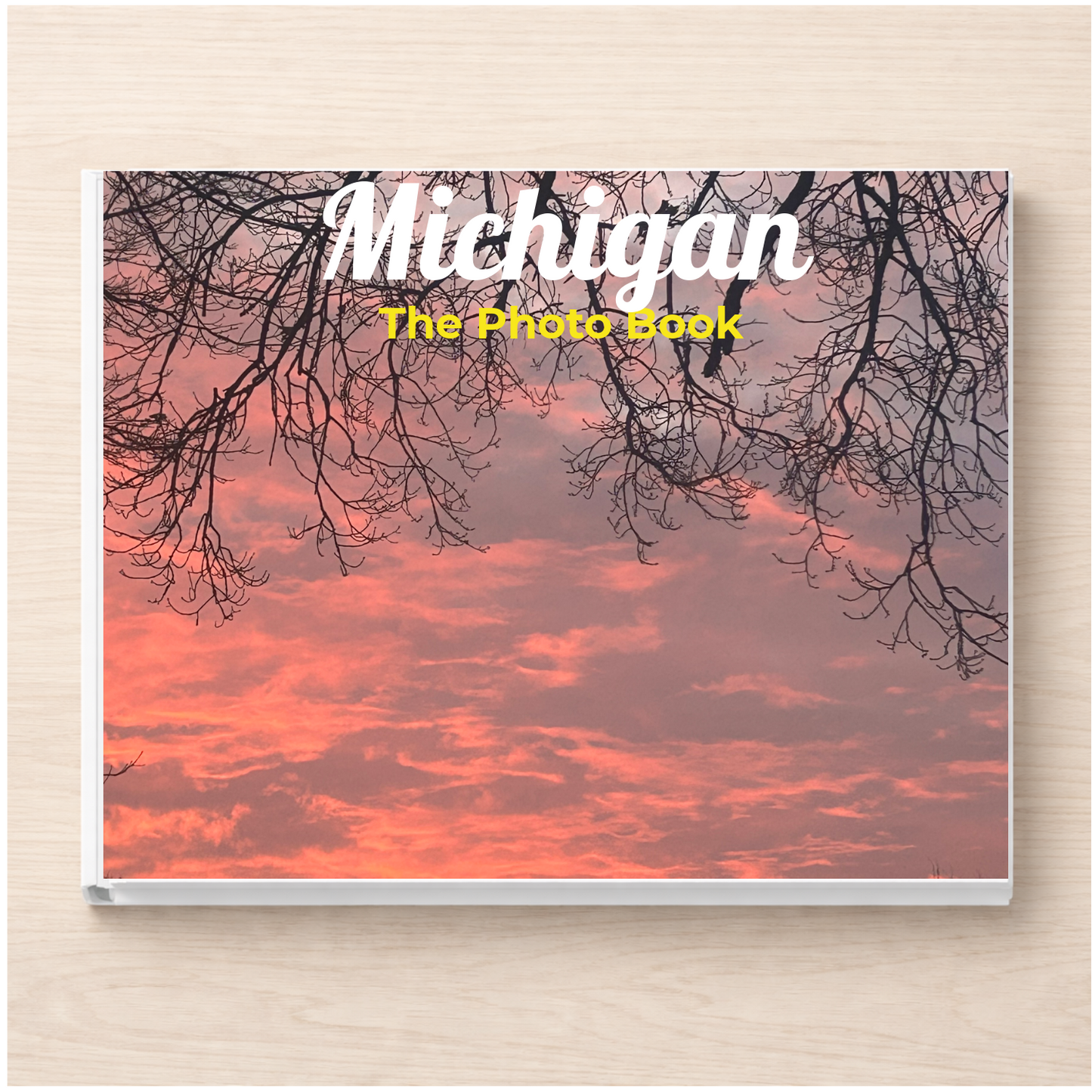 Michigan: The Photo Book