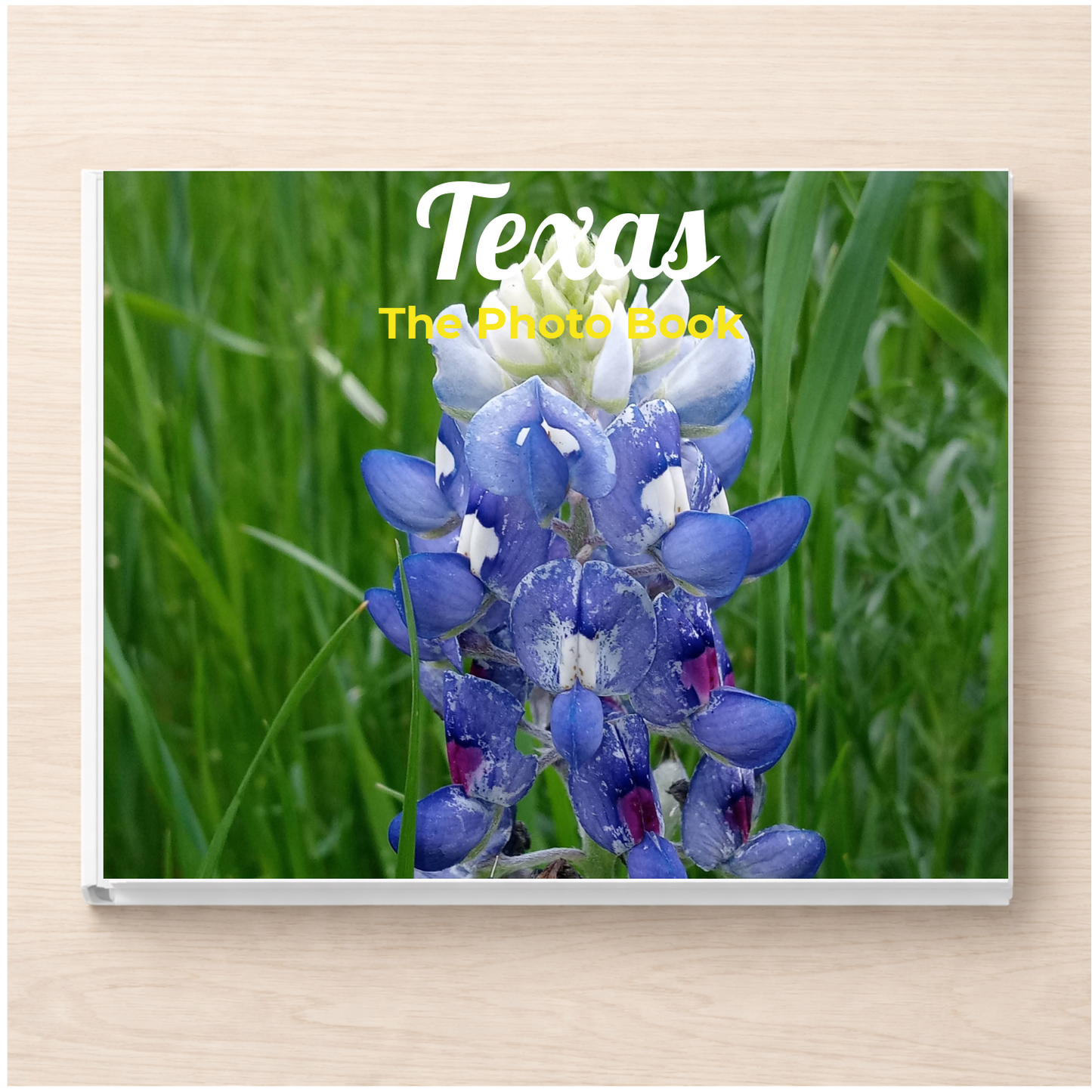 Texas: The Photo Book
