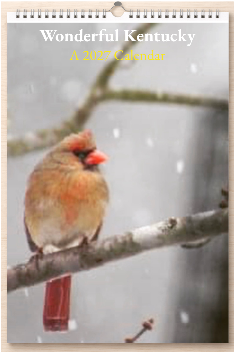 Wonderful Kentucky: A 2027 Calendar