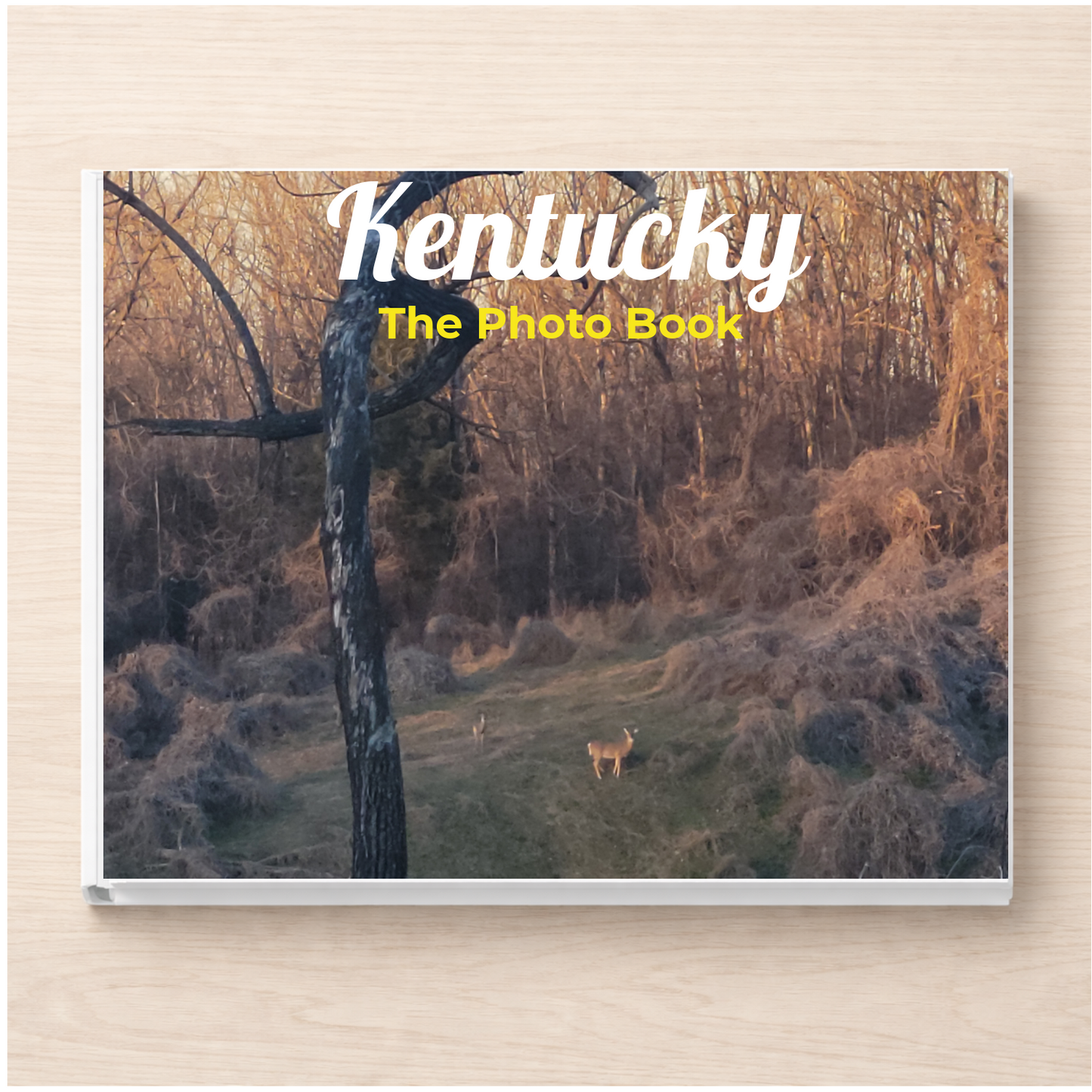 Kentucky: The Photo Book