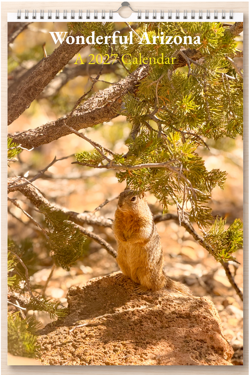 Wonderful Arizona: A 2027 Calendar