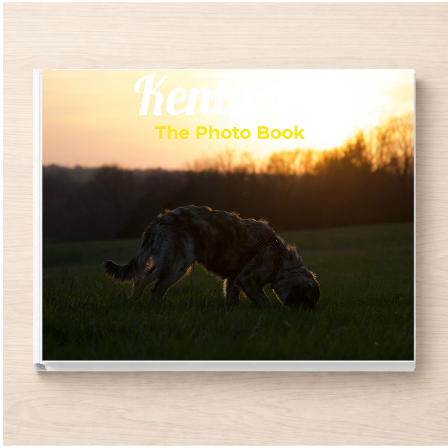 Kentucky: The Photo Book