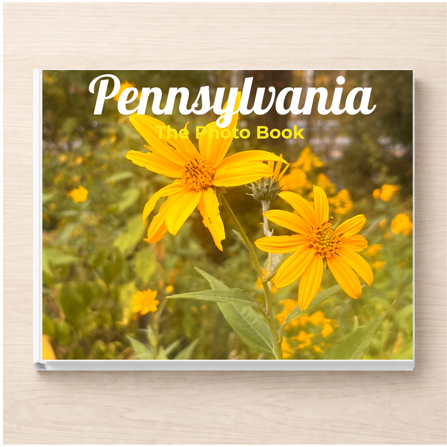 Pennsylvania: The Photo Book