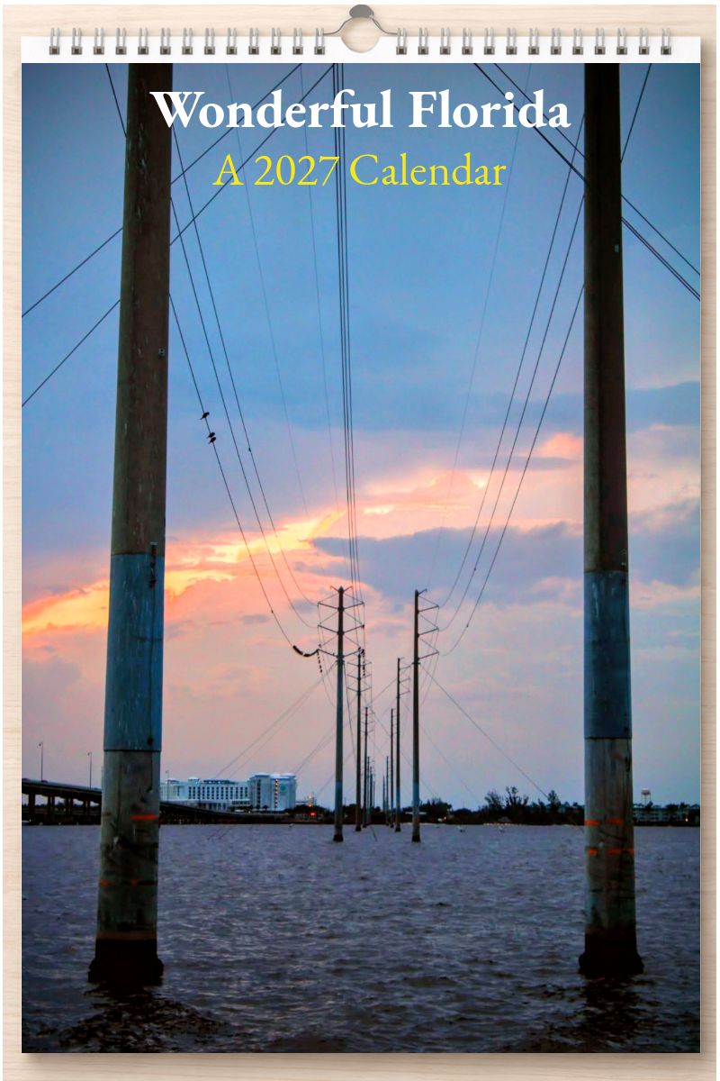 Wonderful Florida: A 2027 Calendar