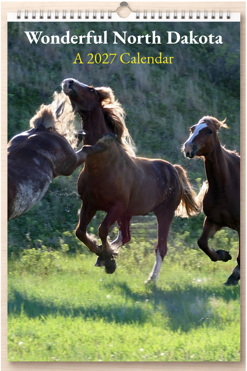 Wonderful North Dakota: A 2027 Calendar
