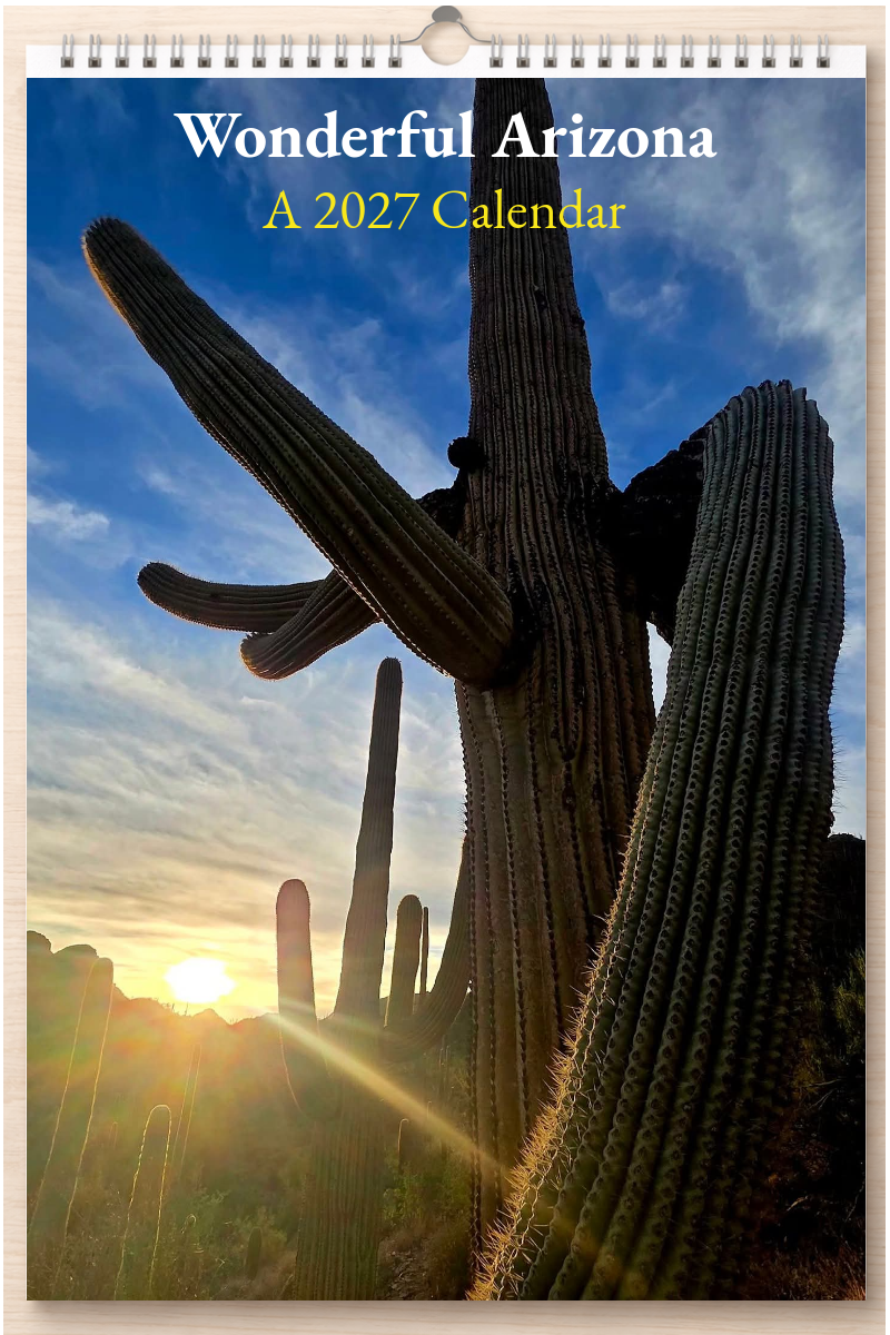 Wonderful Arizona: A 2027 Calendar
