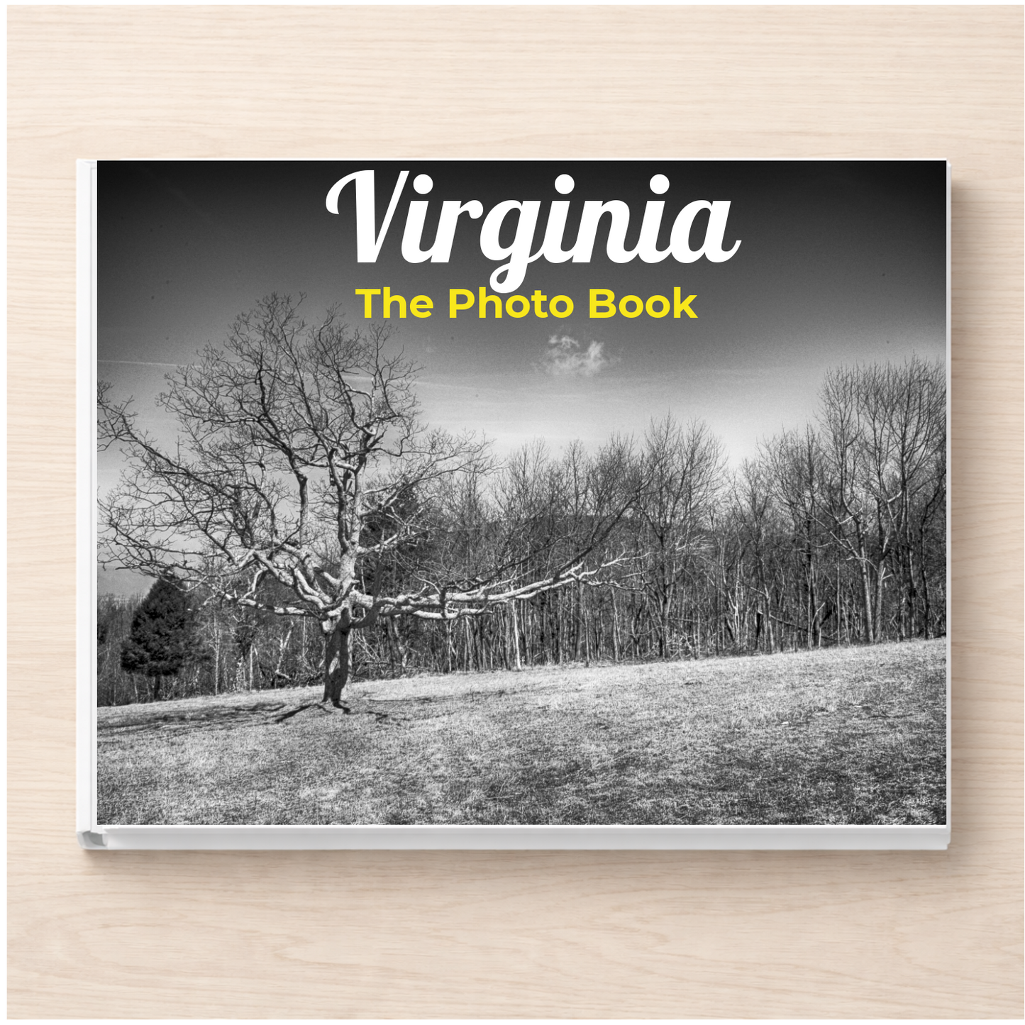 Virginia: The Photo Book