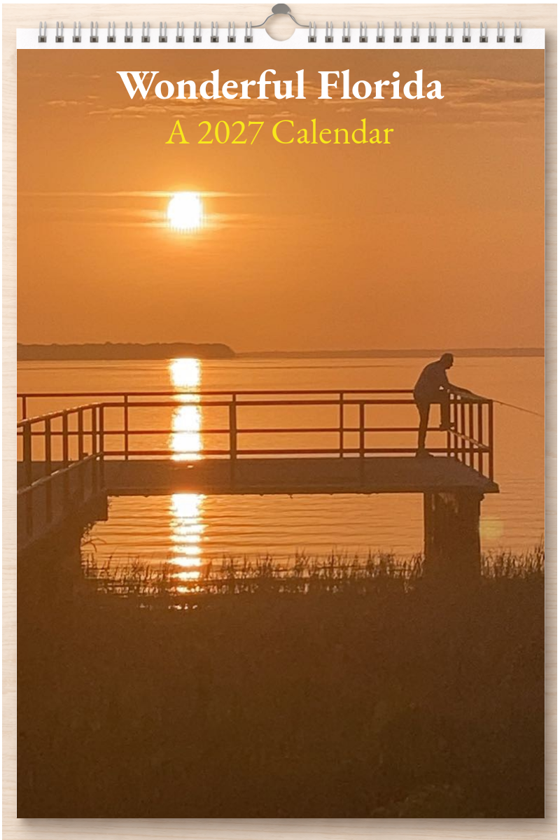 Wonderful Florida: A 2027 Calendar