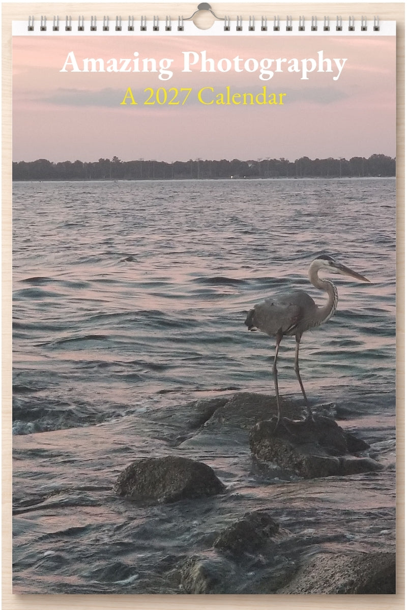 Amazing Photography: A 2027 Calendar
