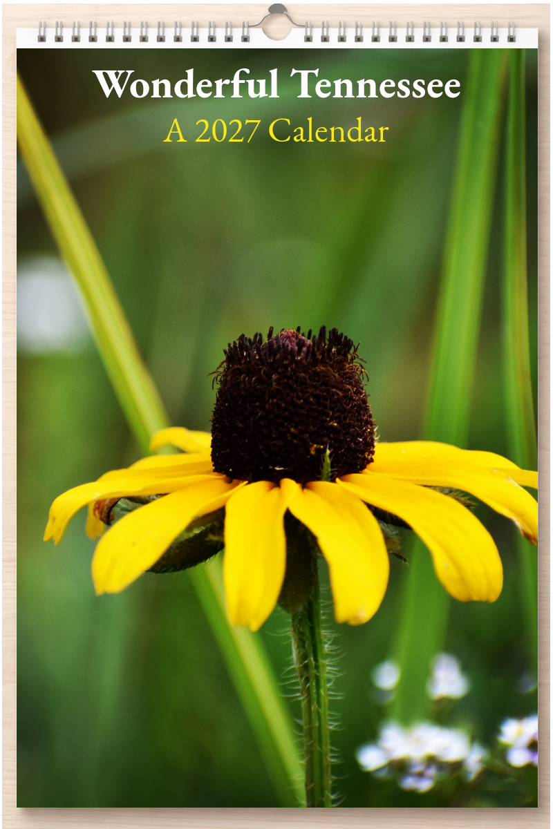 Wonderful Tennessee: A 2027 Calendar