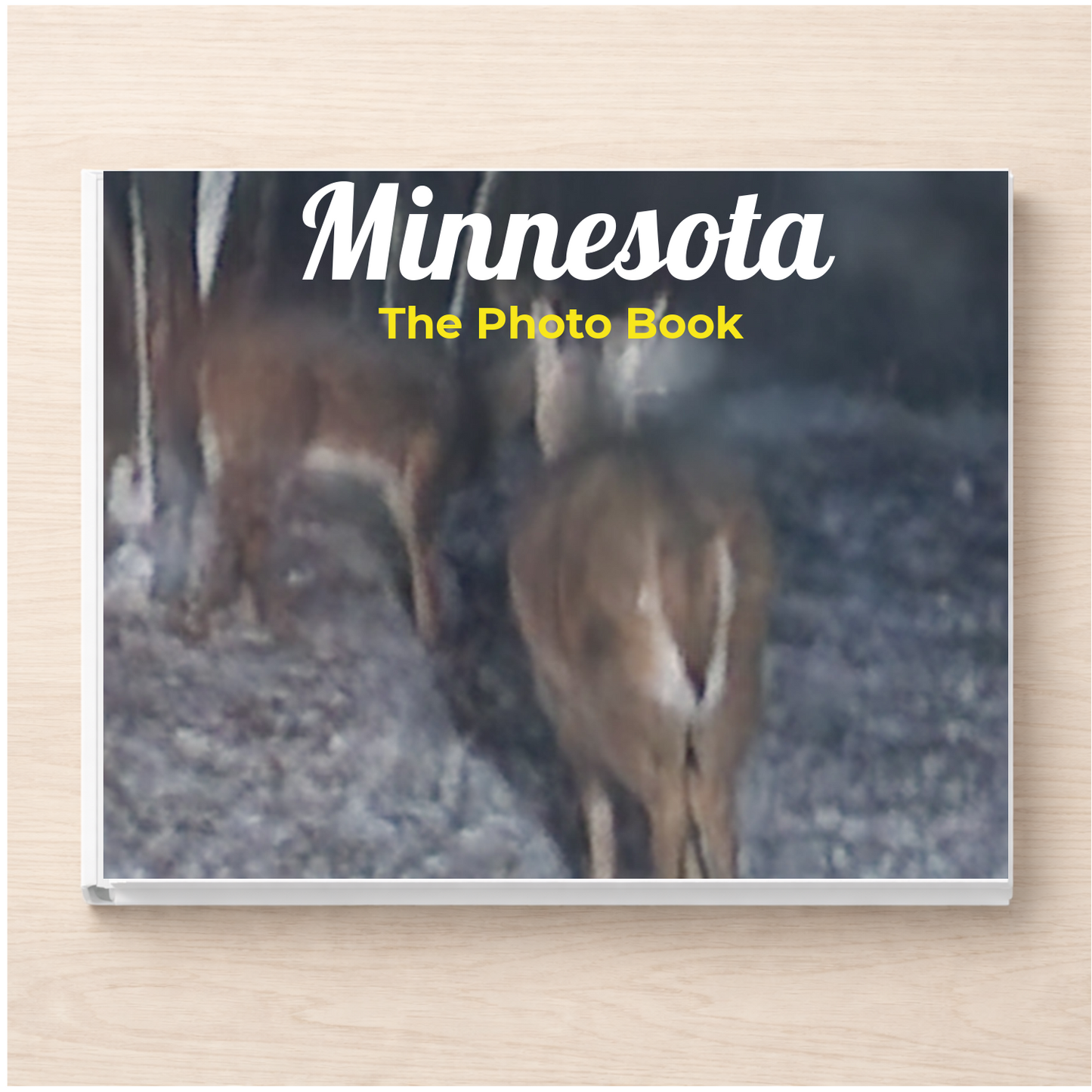 Minnesota: The Photo Book
