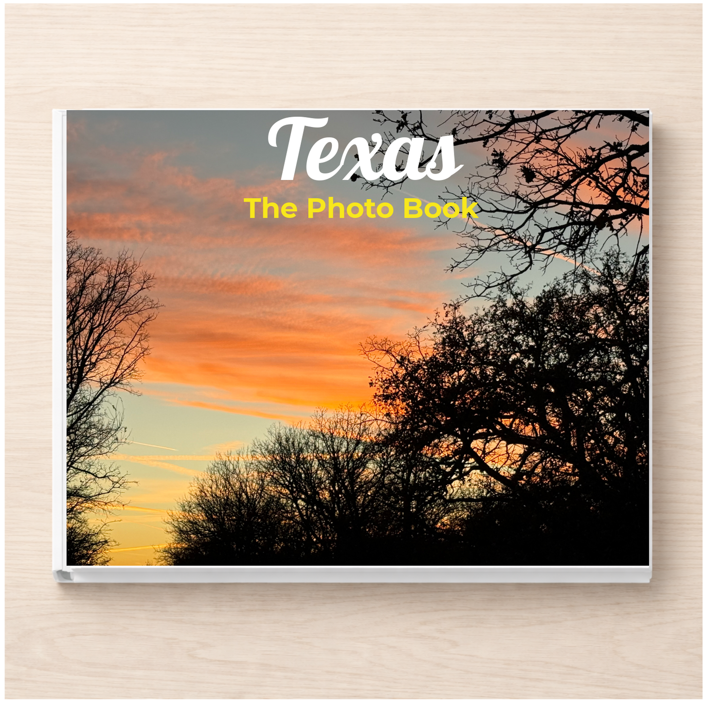 Texas: The Photo Book