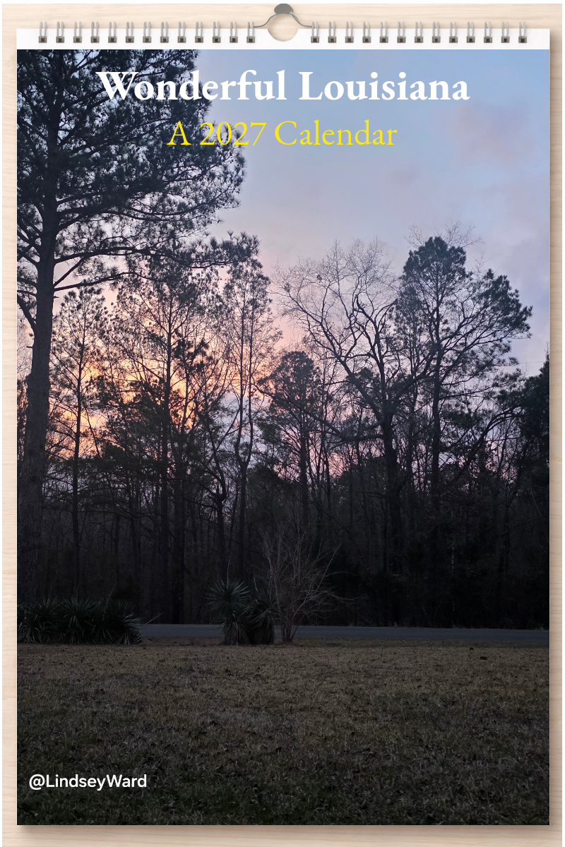 Wonderful Louisiana: A 2027 Calendar