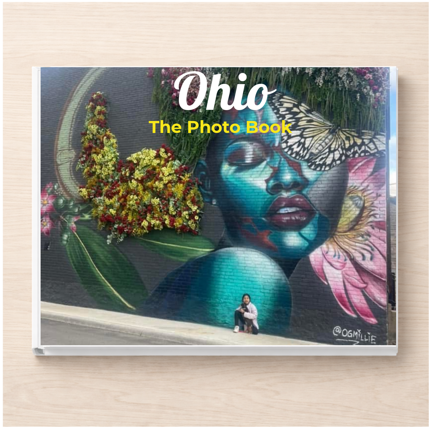Ohio: The Photo Book