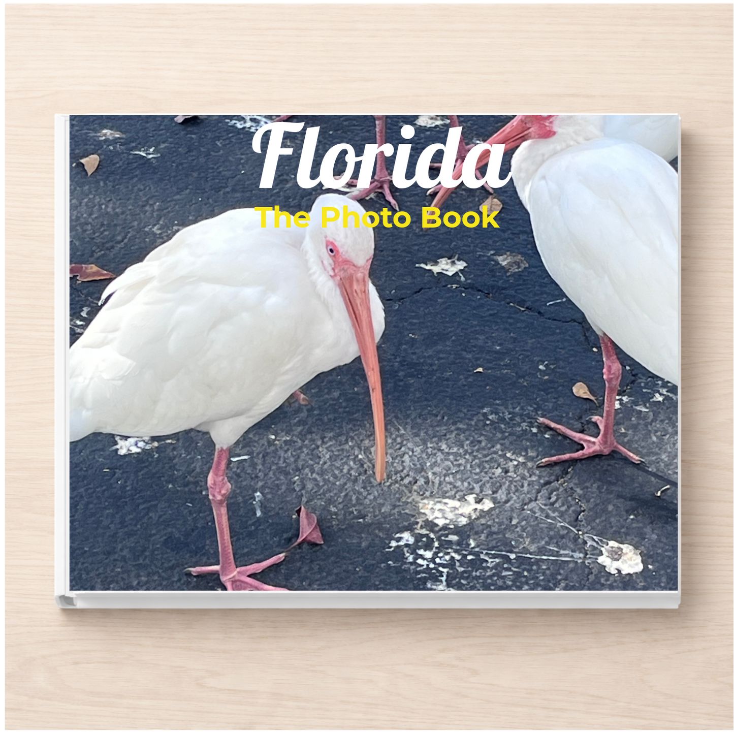 Florida: The Photo Book