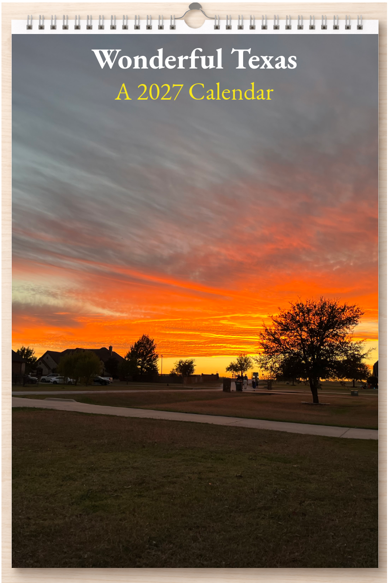 Wonderful Texas: A 2027 Calendar