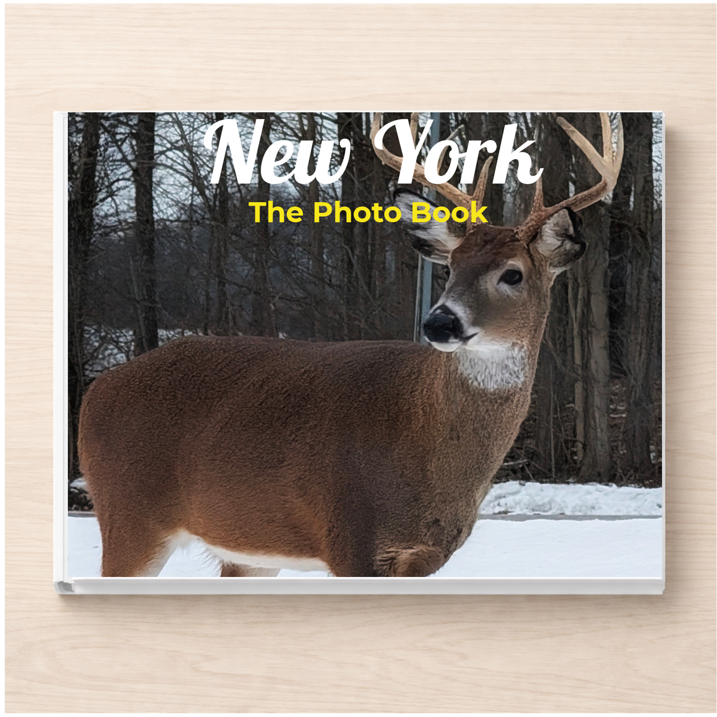 New York: The Photo Book