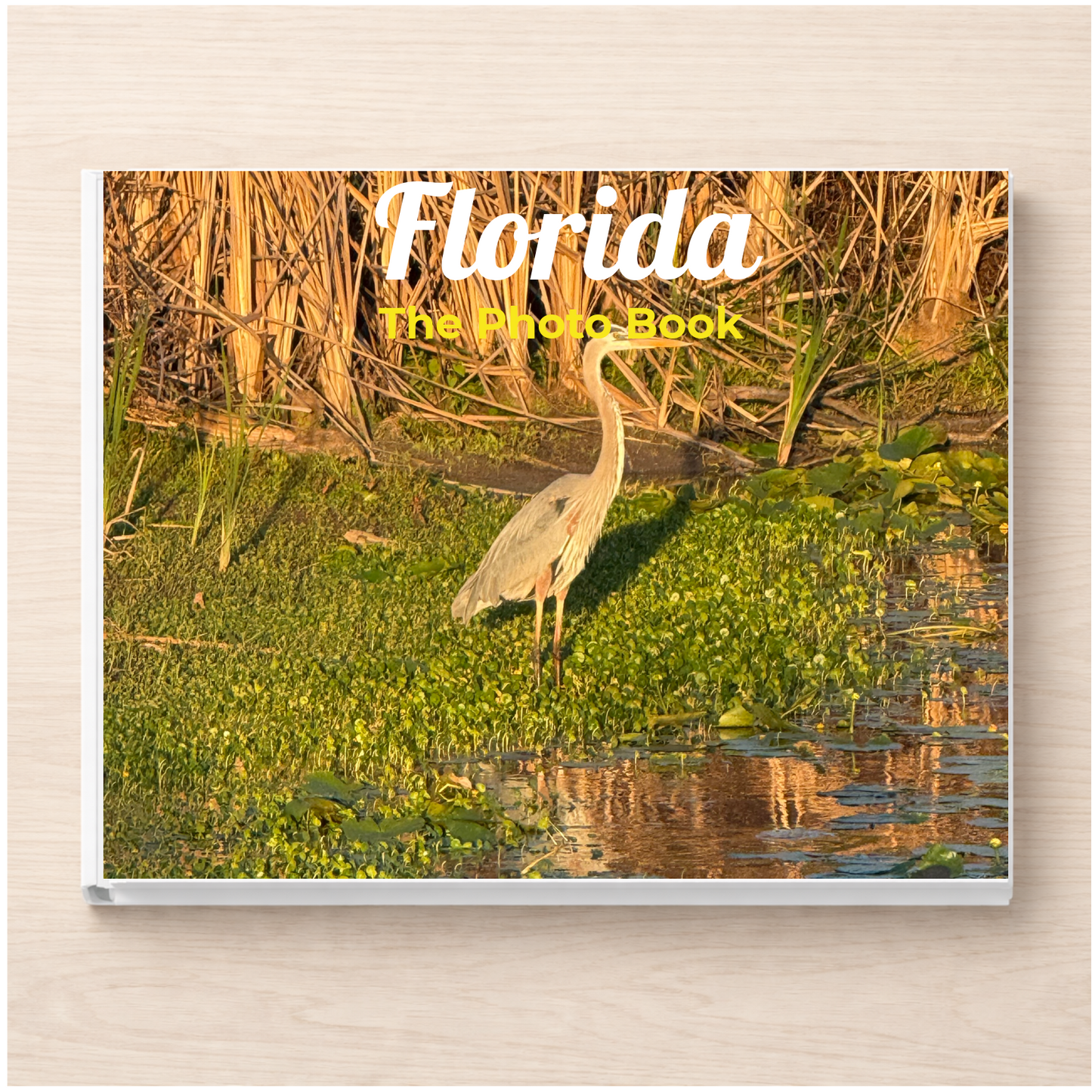 Florida: The Photo Book
