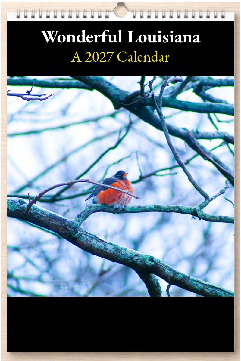 Wonderful Louisiana: A 2027 Calendar