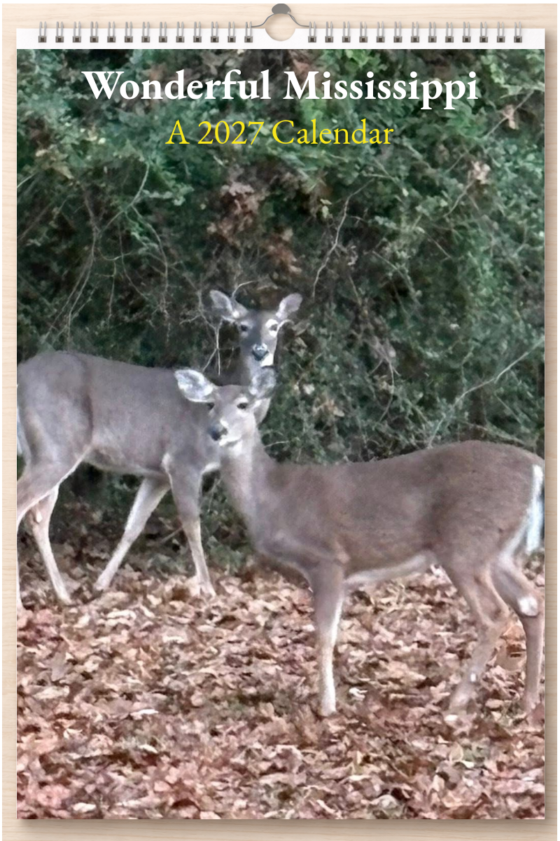 Wonderful Mississippi: A 2027 Calendar