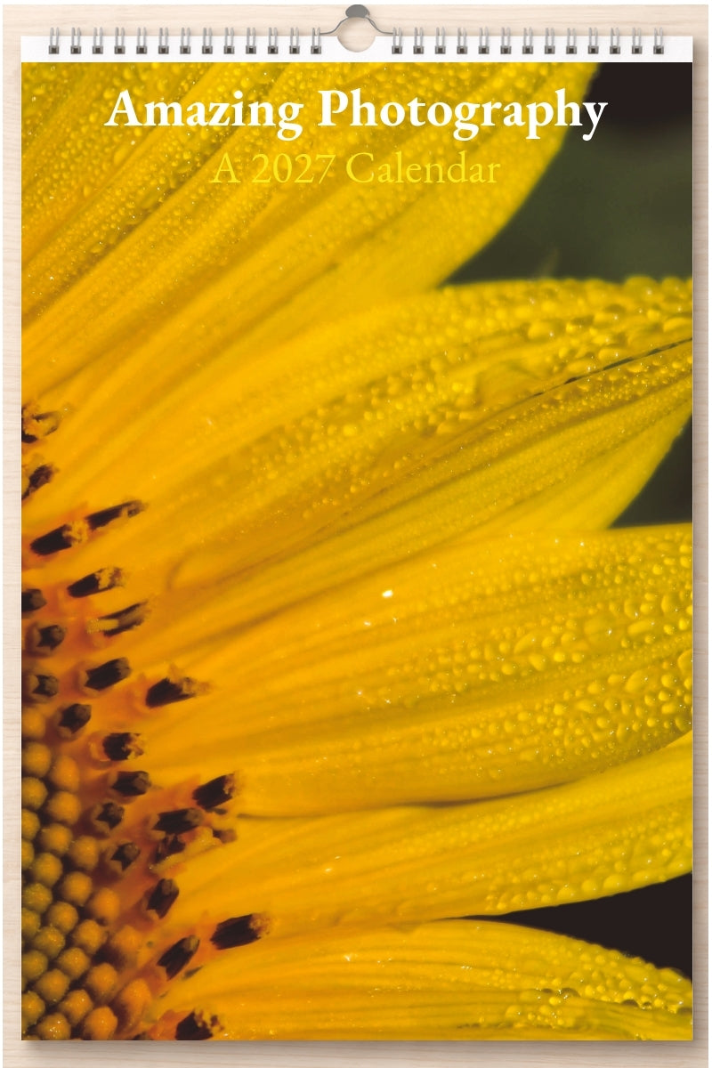 Amazing Photography: A 2027 Calendar