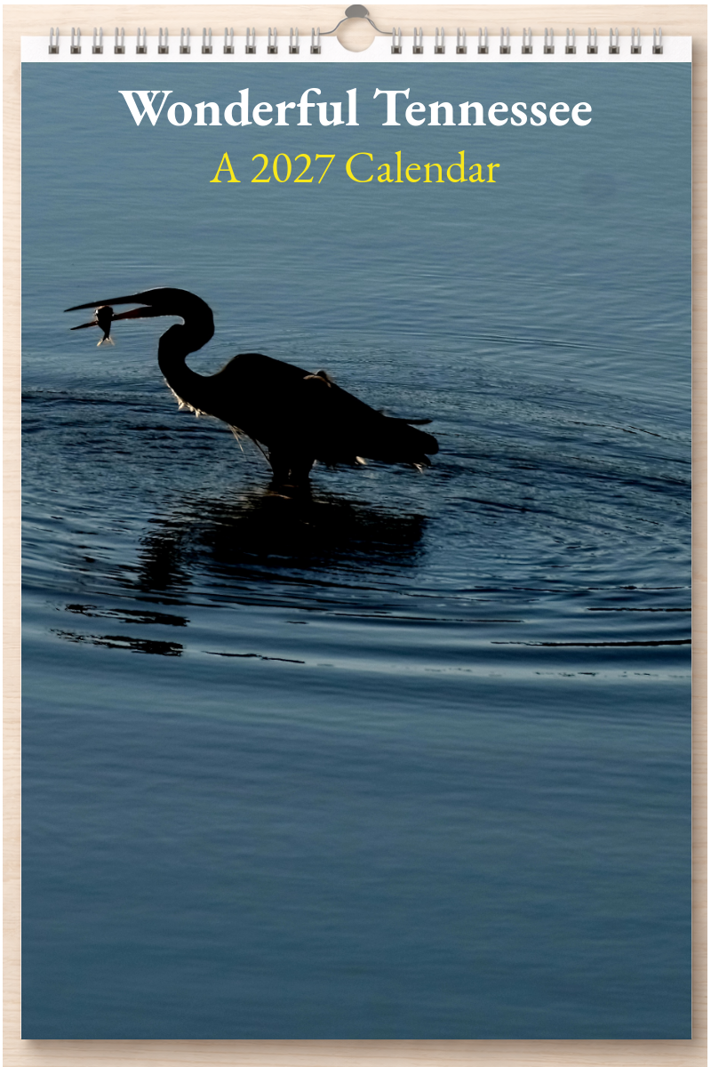 Wonderful Tennessee: A 2027 Calendar