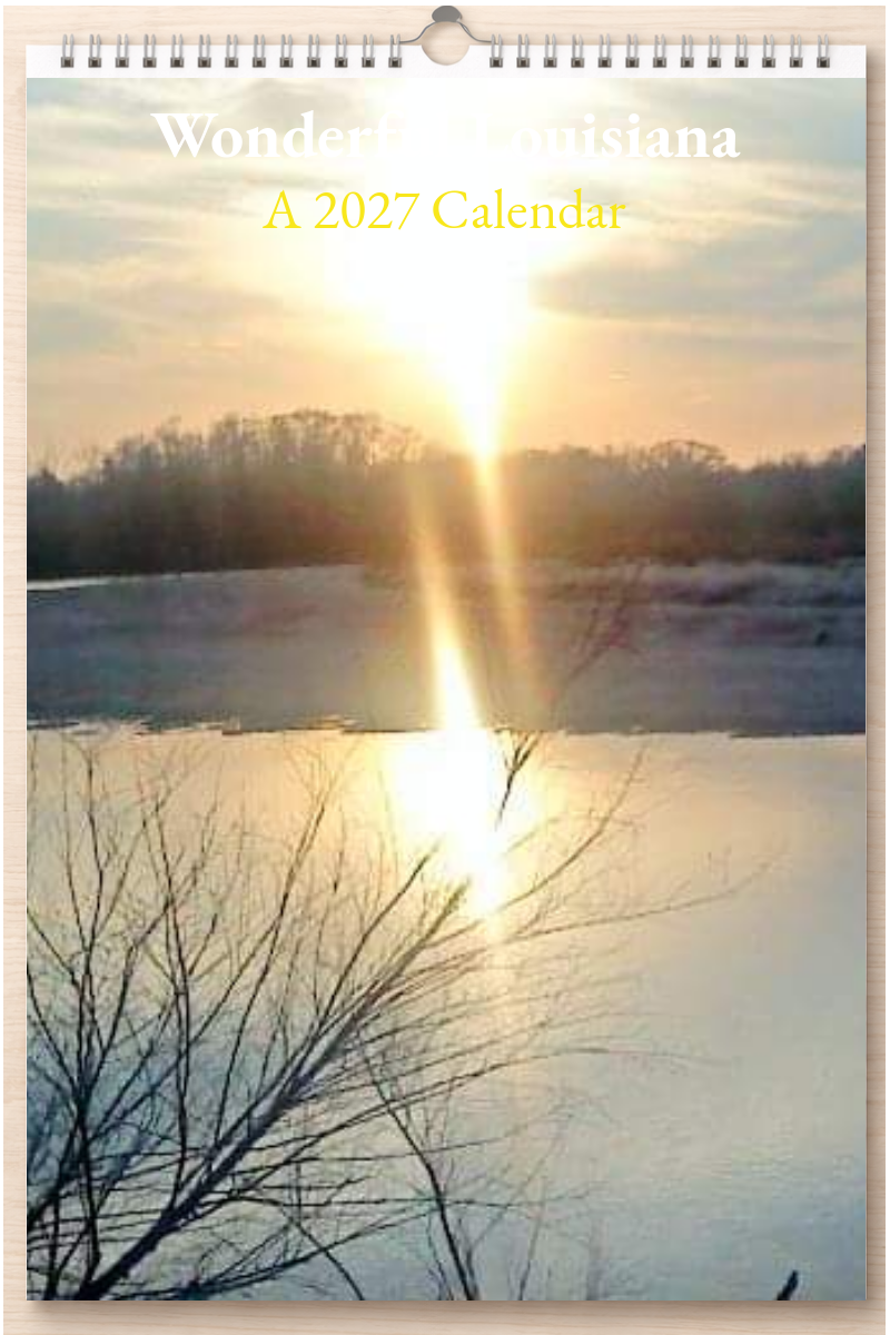 Wonderful Louisiana: A 2027 Calendar
