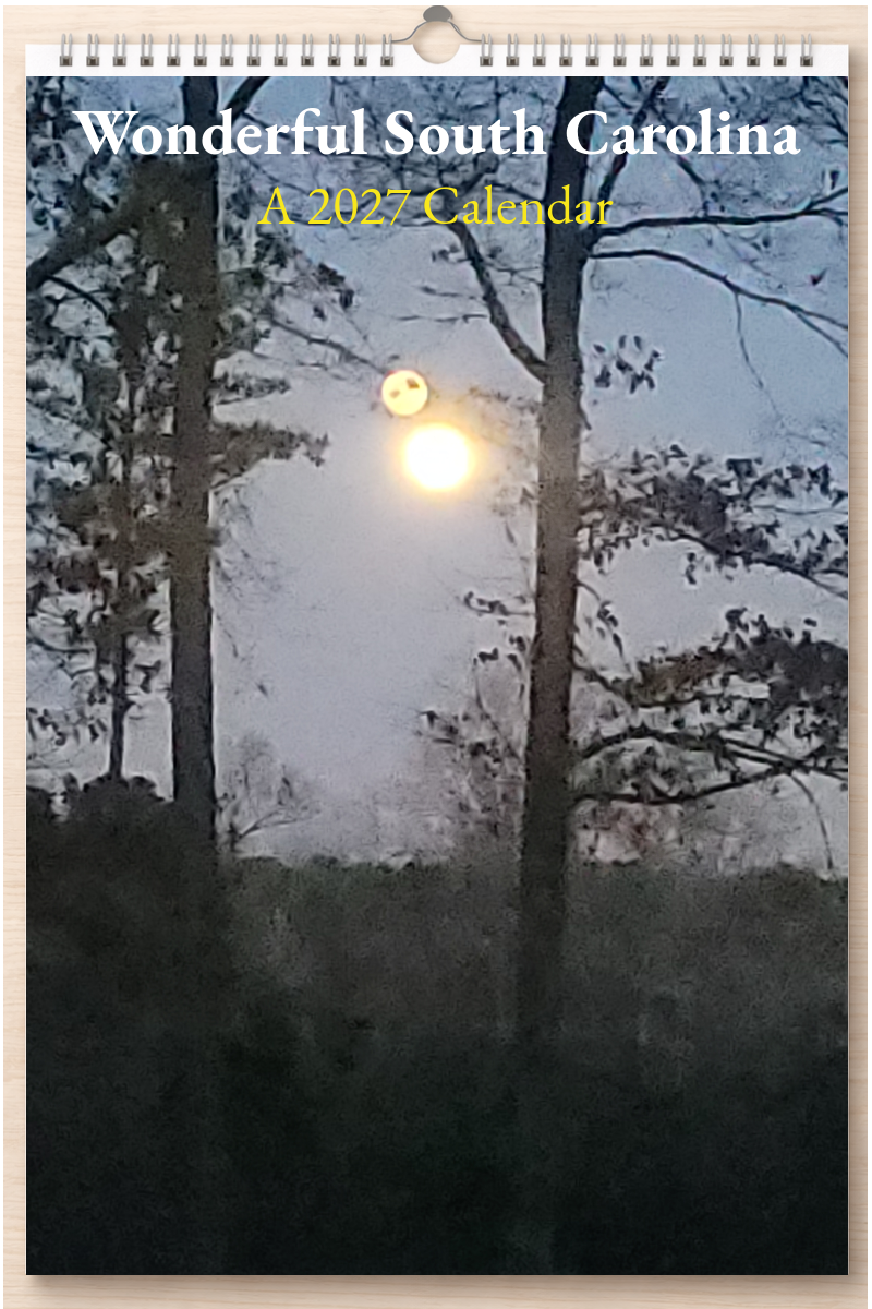 Wonderful South Carolina: A 2027 Calendar