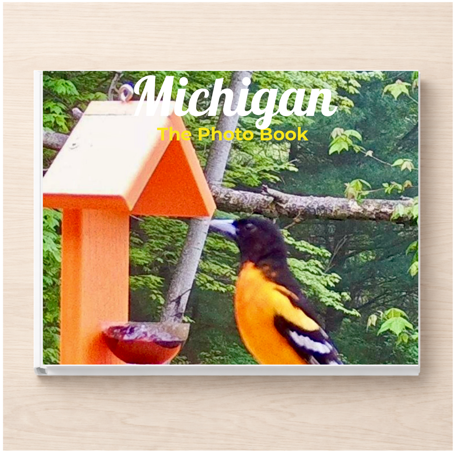 Michigan: The Photo Book
