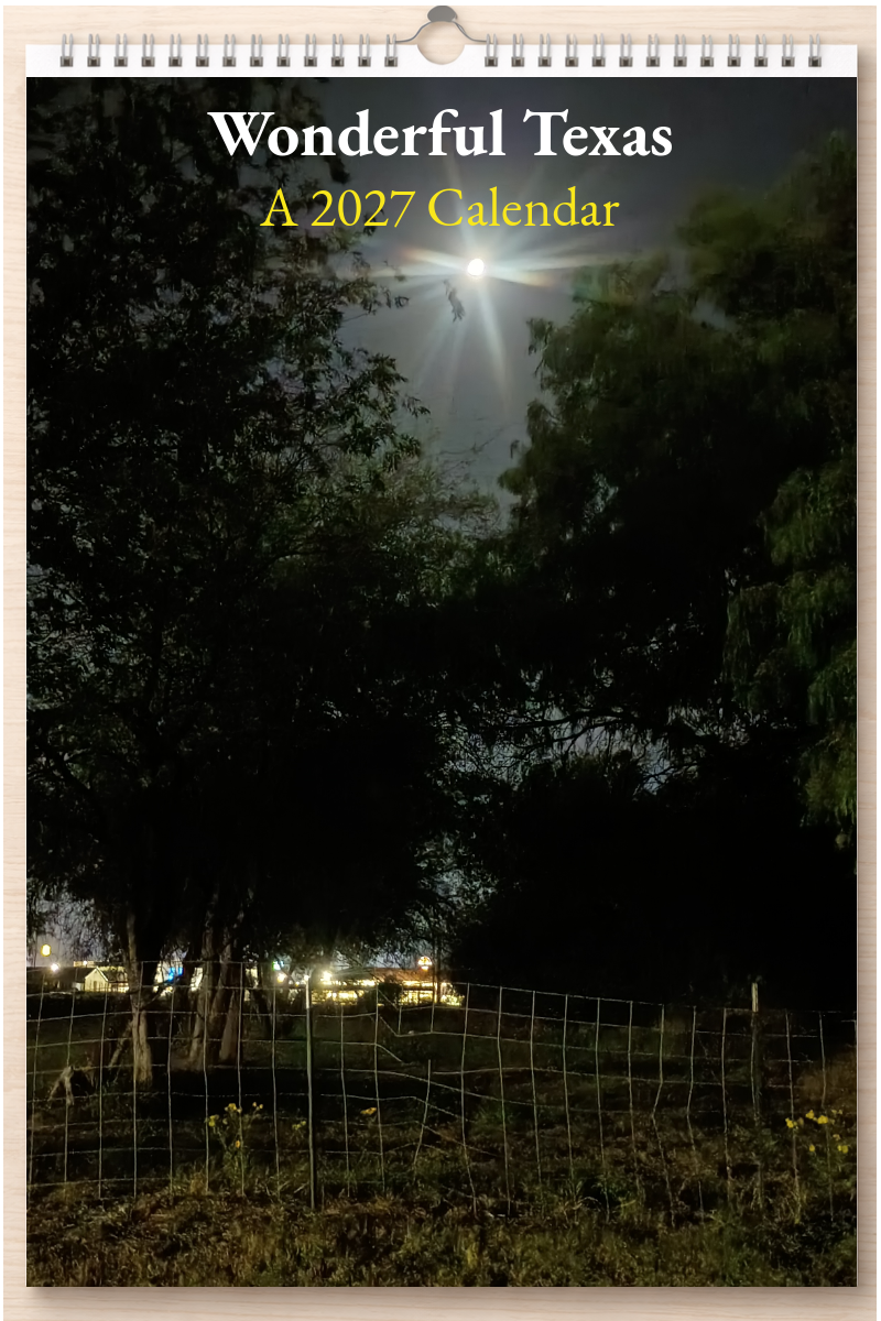 Wonderful Texas: A 2027 Calendar