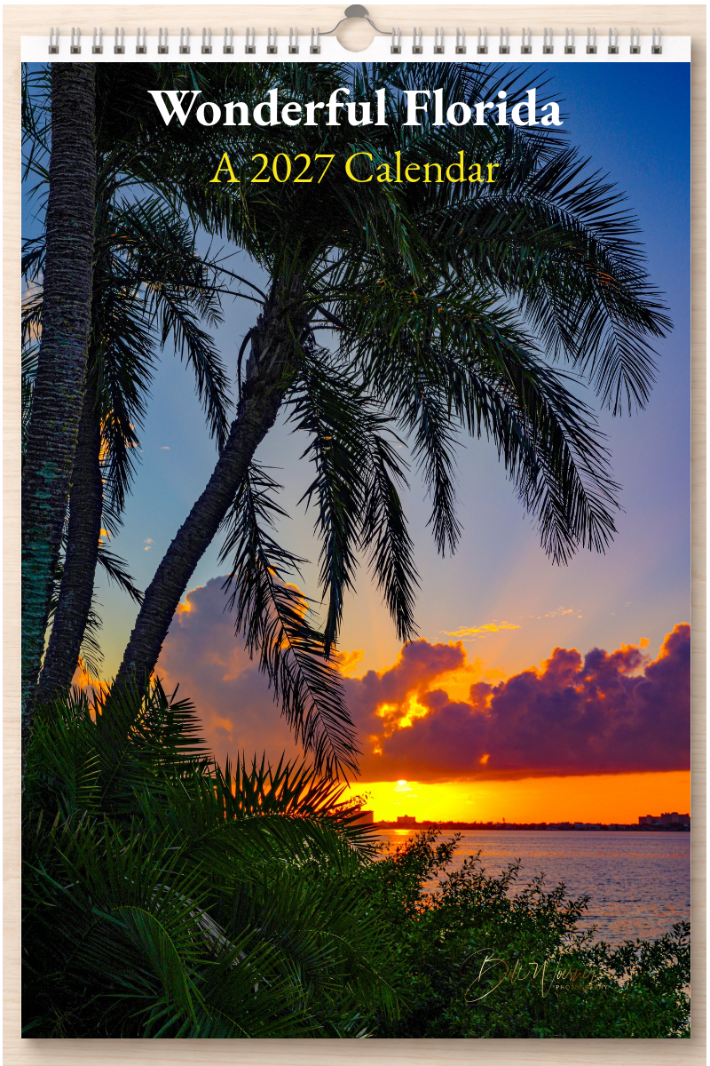 Wonderful Florida: A 2027 Calendar