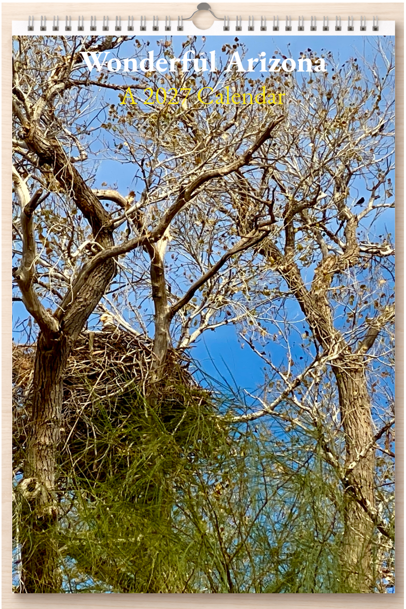 Wonderful Arizona: A 2027 Calendar