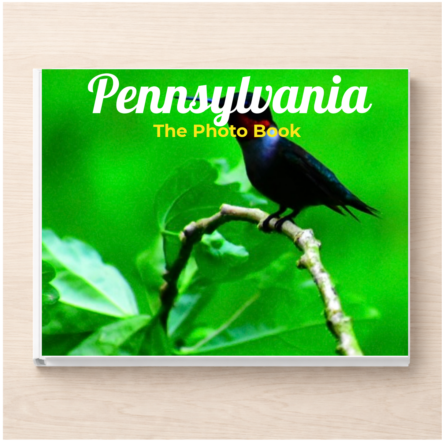 Pennsylvania: The Photo Book