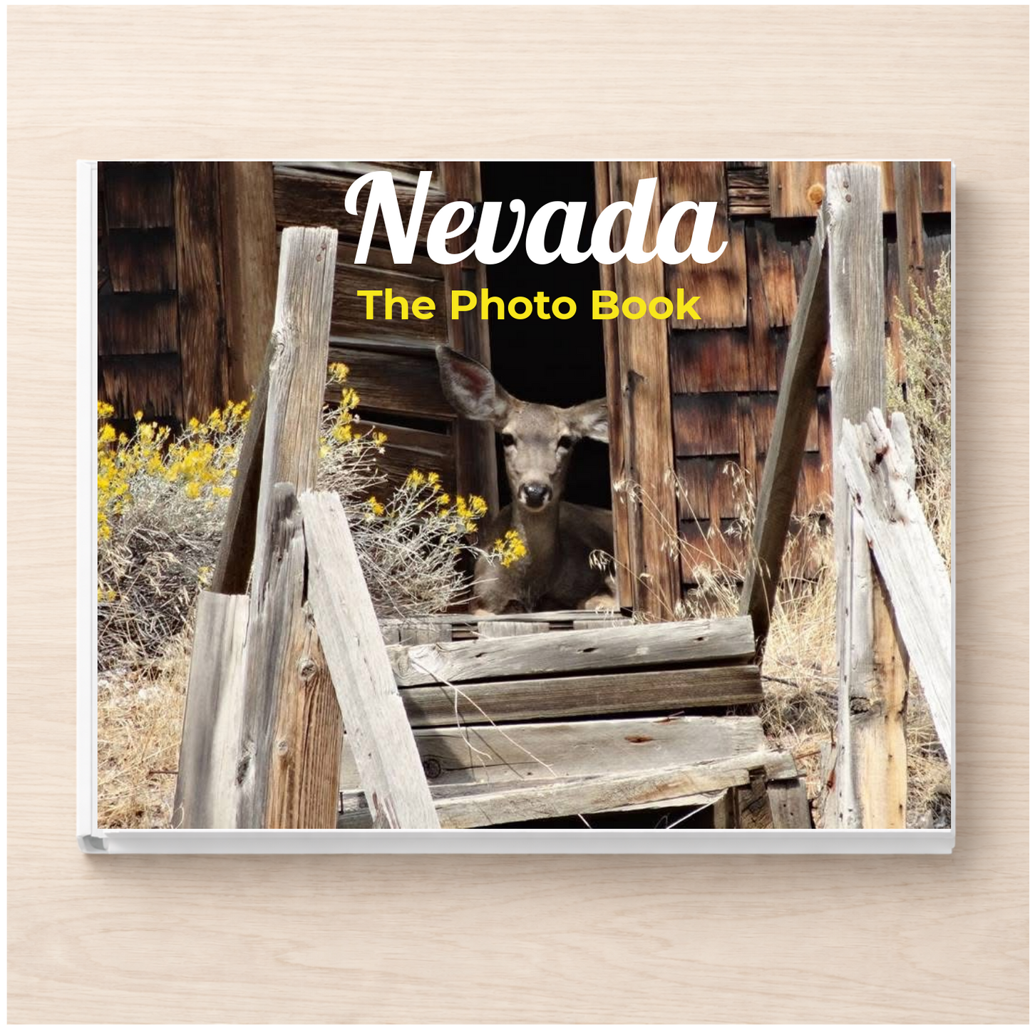 Nevada: The Photo Book