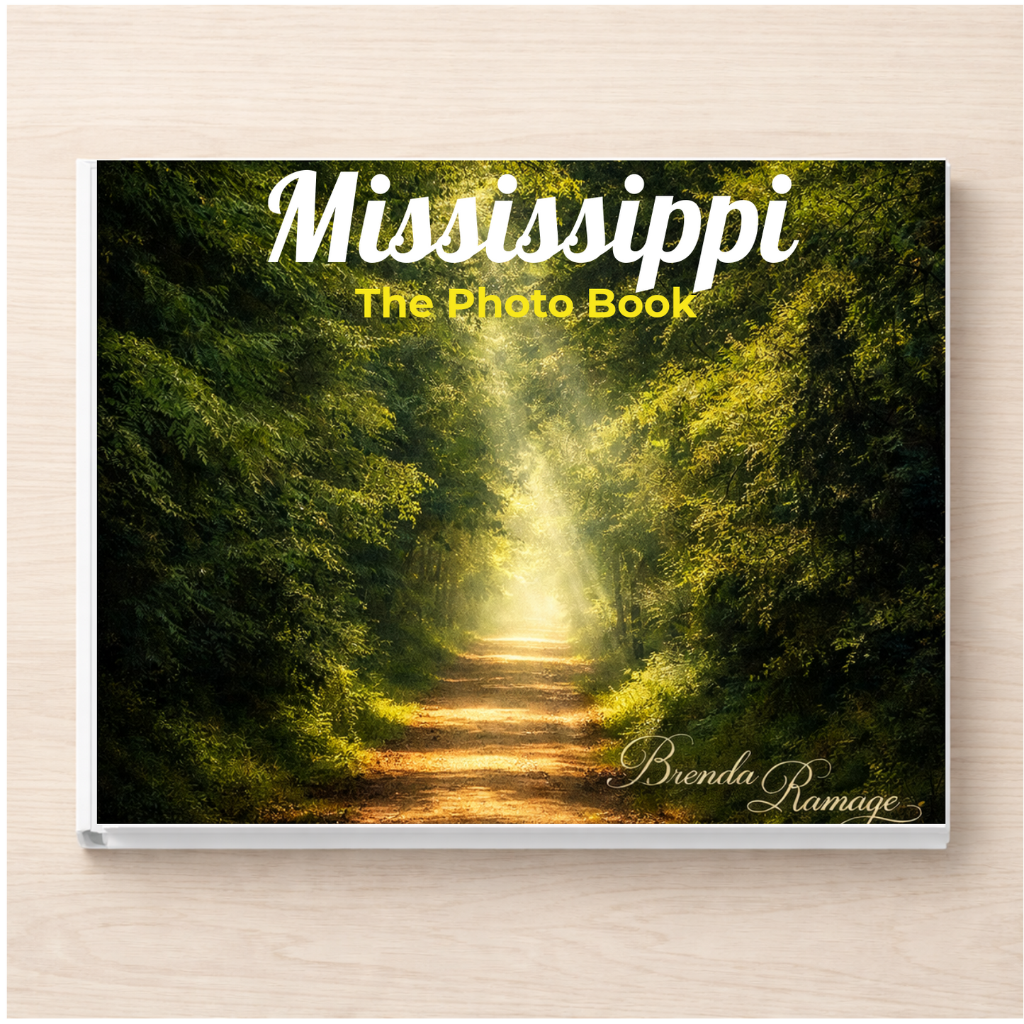 Mississippi: The Photo Book