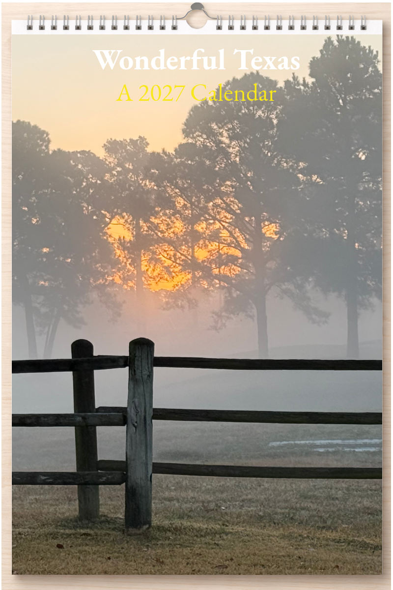 Wonderful Texas: A 2027 Calendar