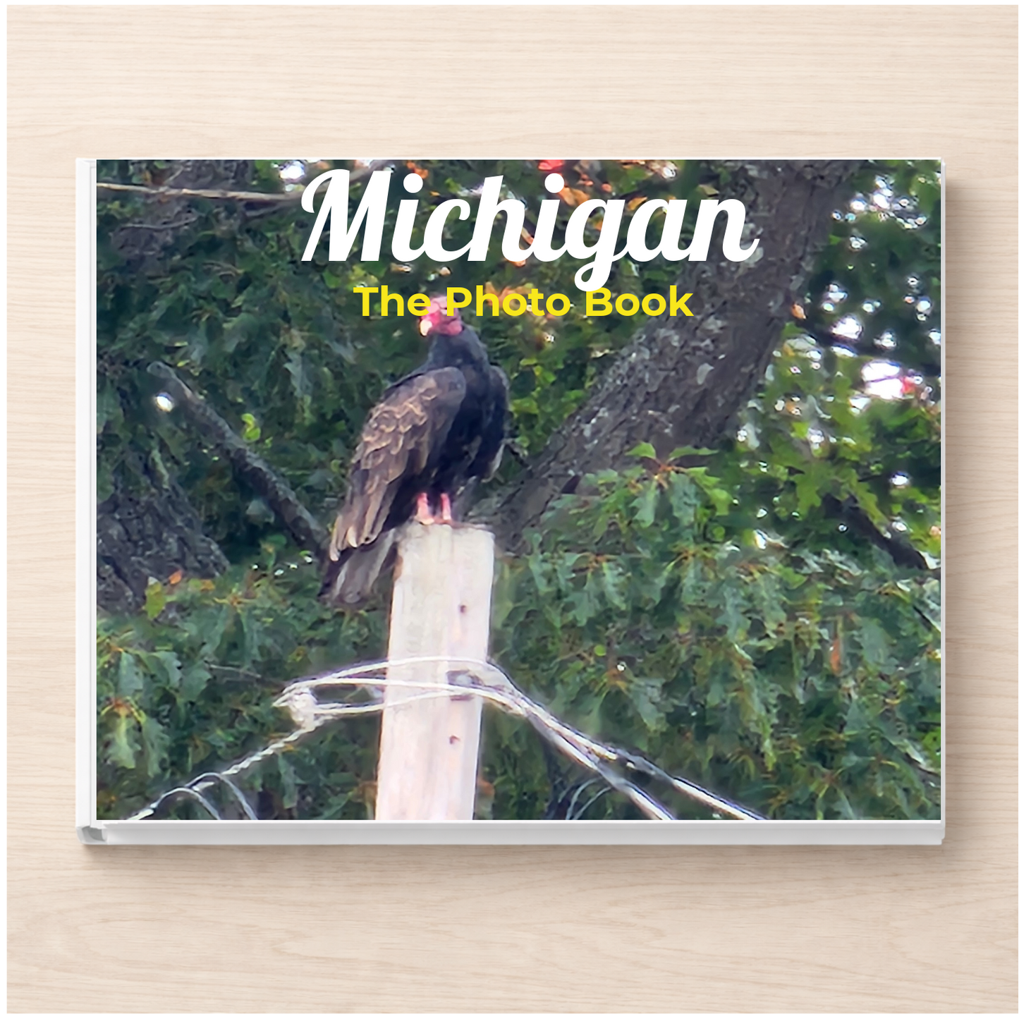 Michigan: The Photo Book