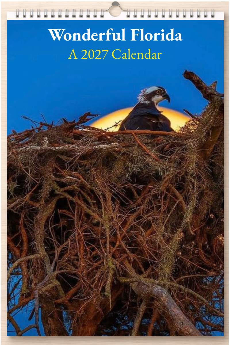 Wonderful Florida: A 2027 Calendar