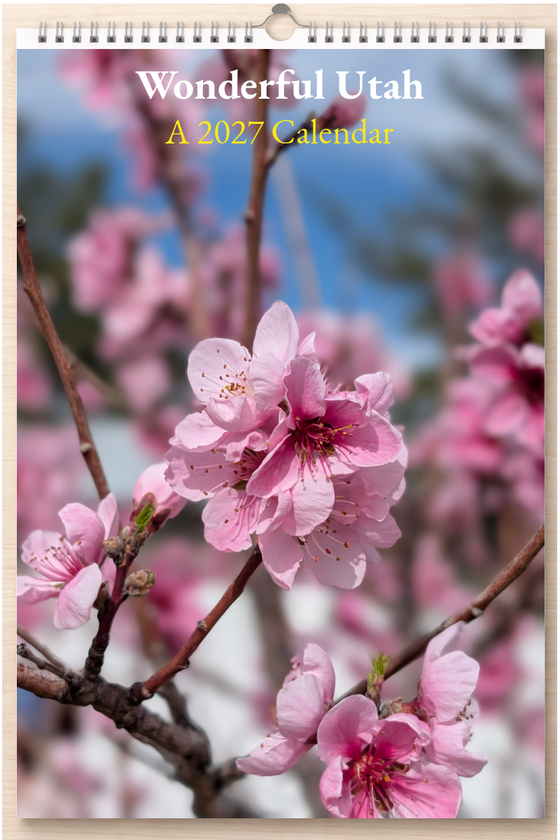 Wonderful Utah: A 2027 Calendar