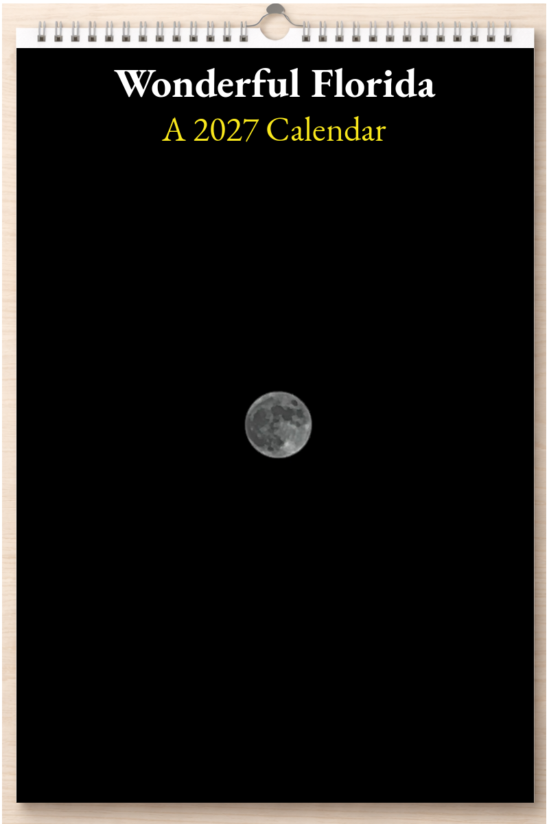 Wonderful Florida: A 2027 Calendar