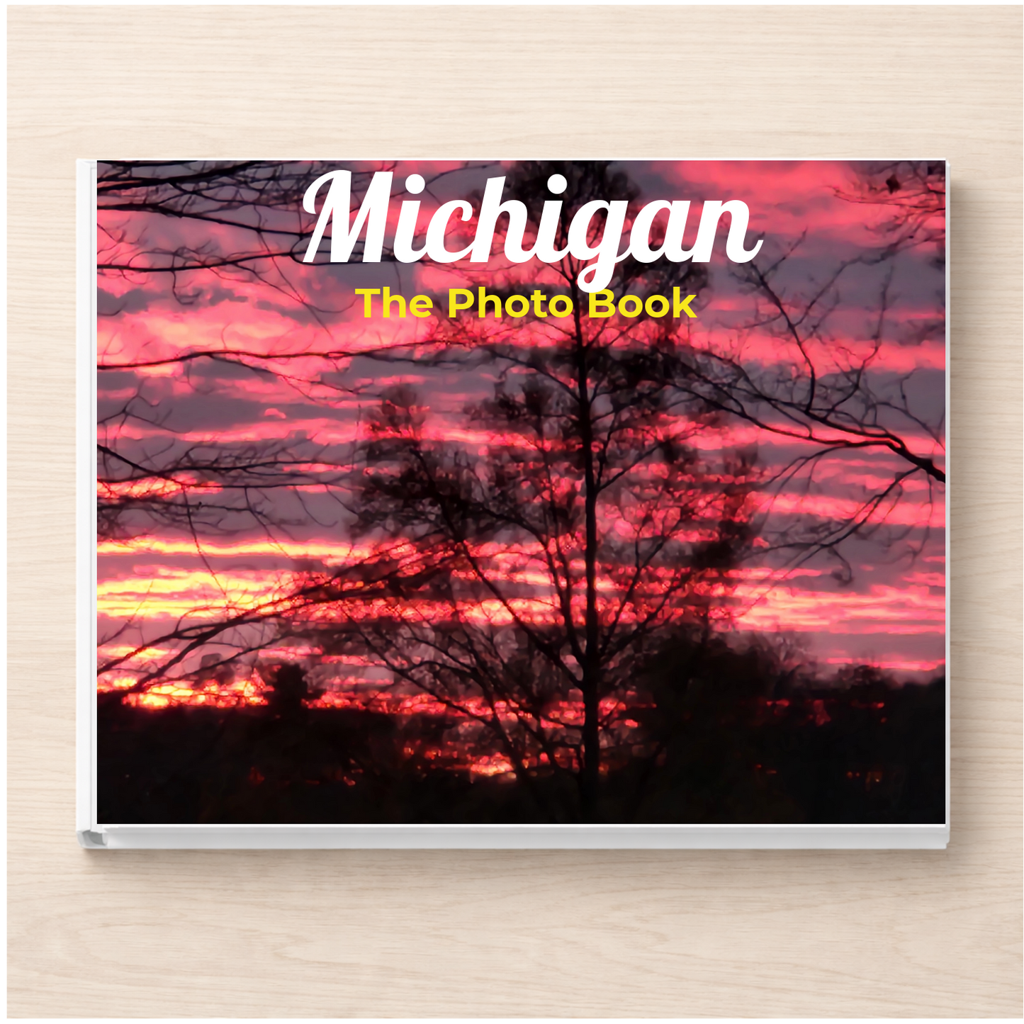 Michigan: The Photo Book