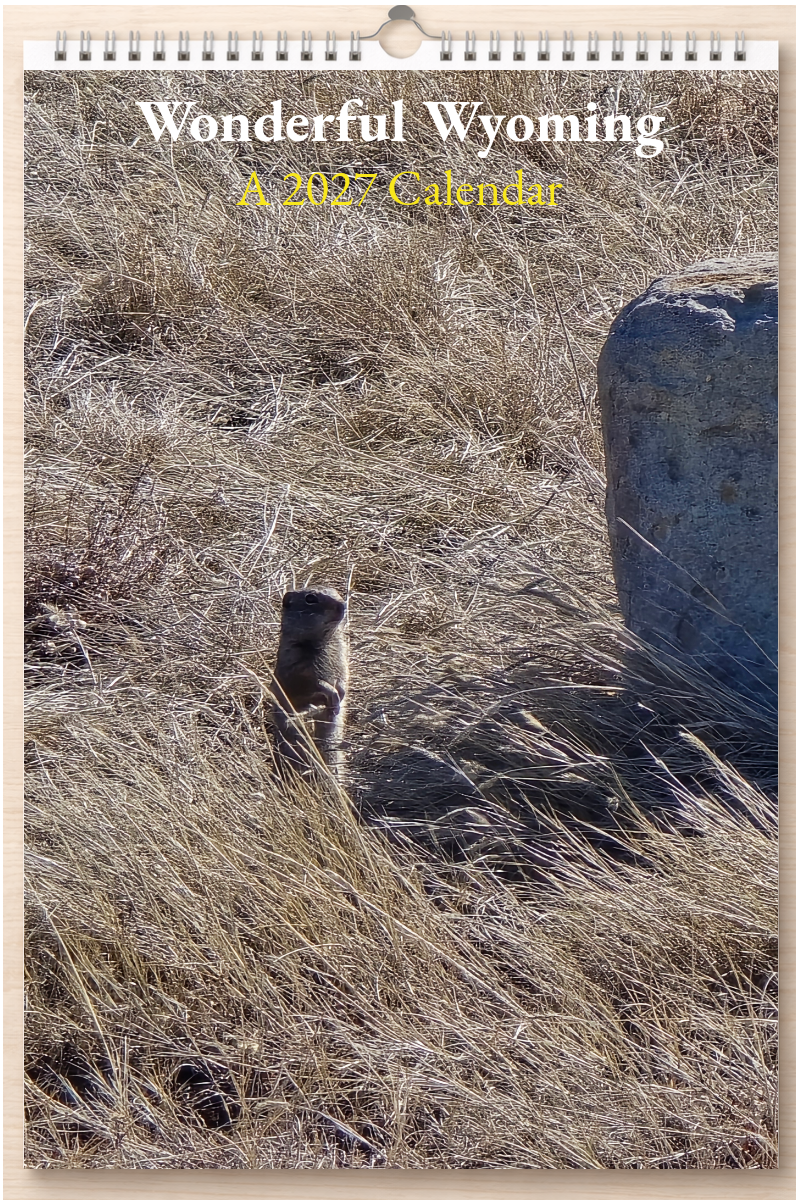 Wonderful Wyoming: A 2027 Calendar