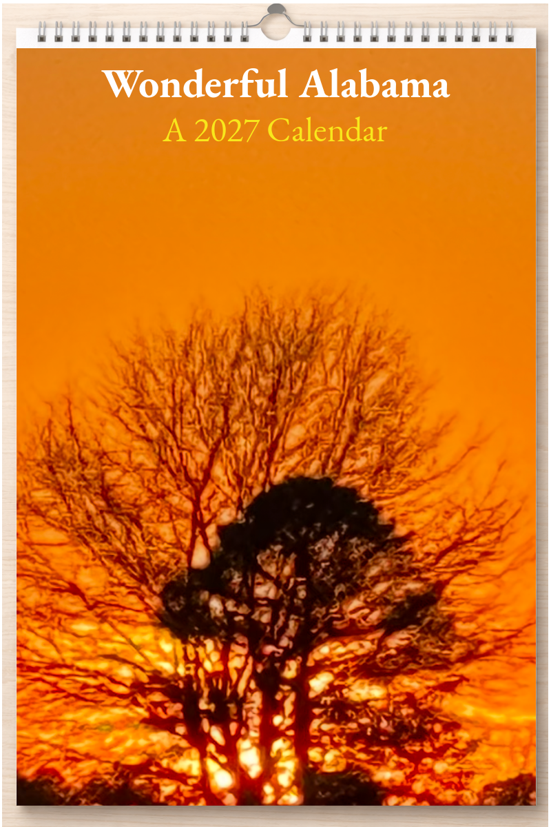 Wonderful Alabama: A 2027 Calendar