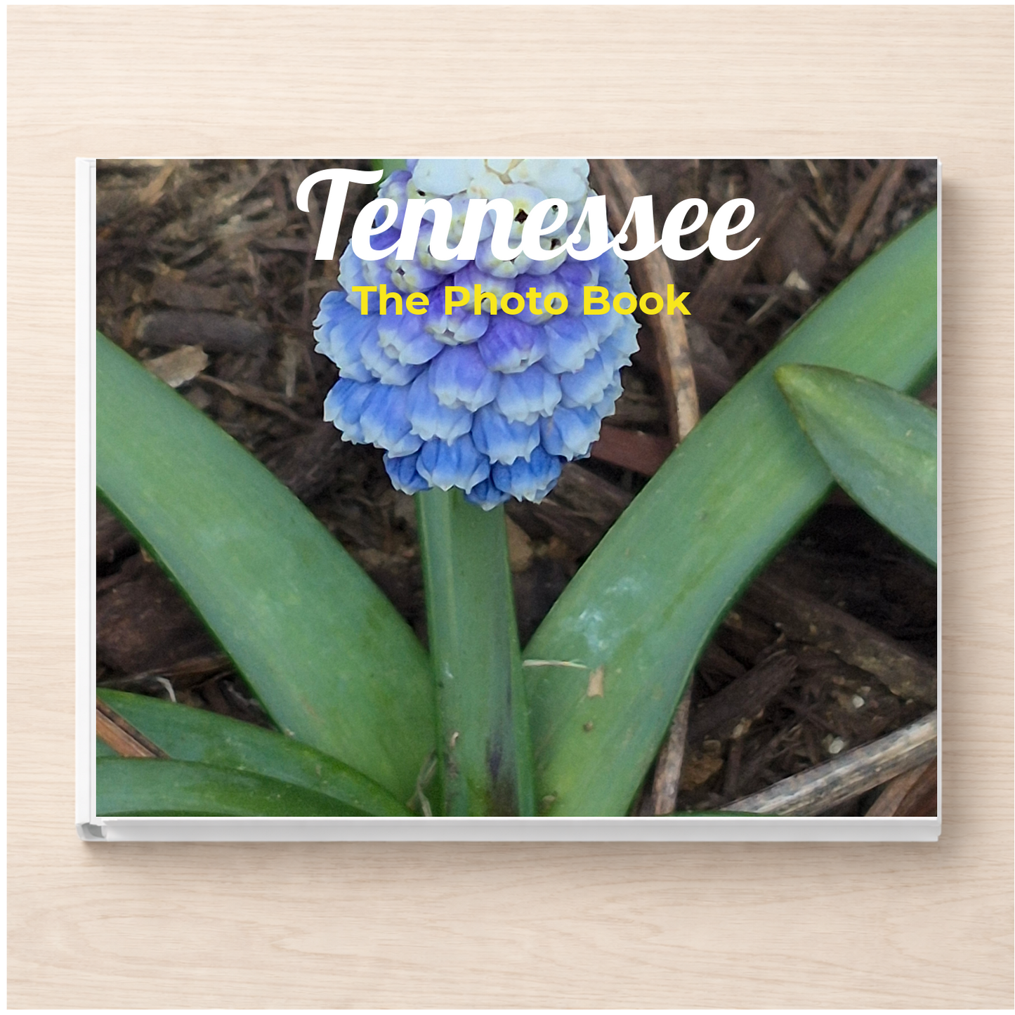Tennessee: The Photo Book