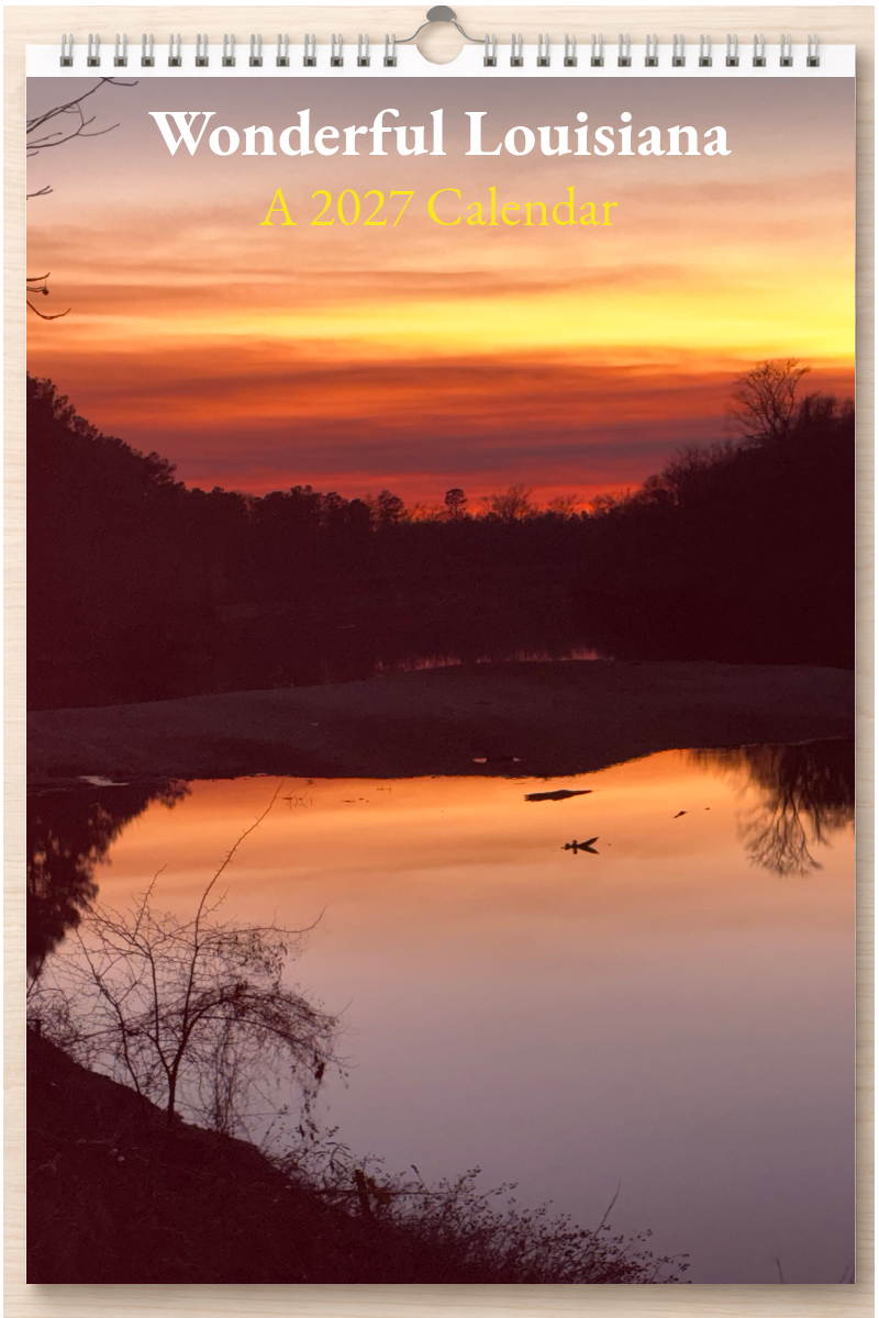Wonderful Louisiana: A 2027 Calendar